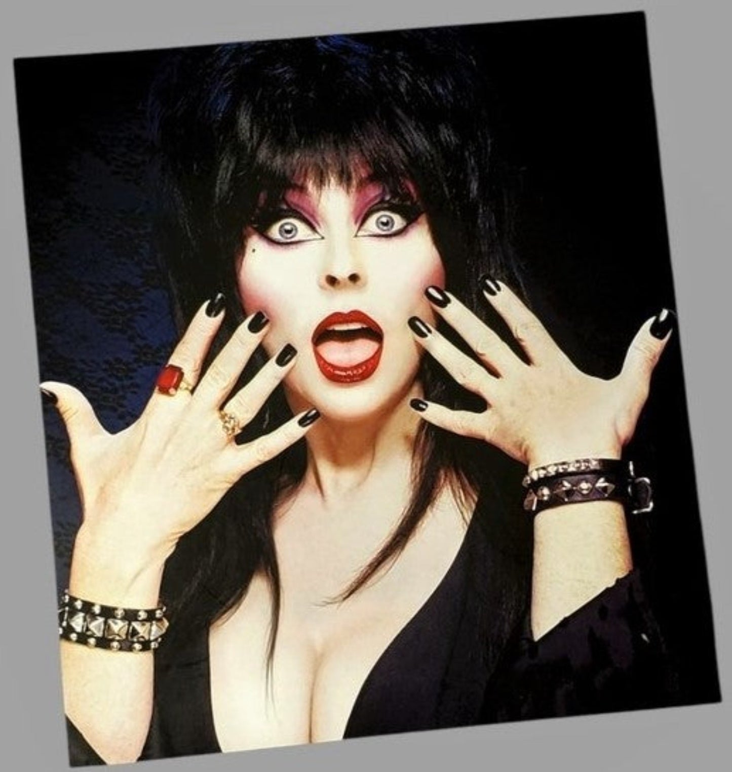Elvira Book Cover Collectible Available In AREA51GALLERY New Orleans