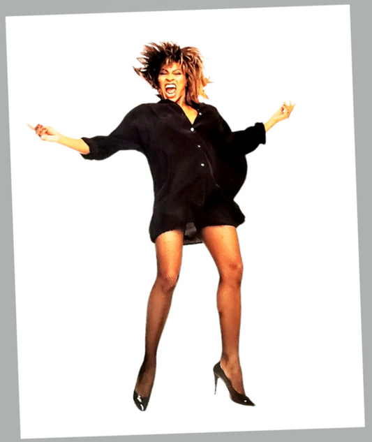 Authentic Tina Turner Vintage 80's Wall Poster For Sale In AREA51GALLERY New Orleans  