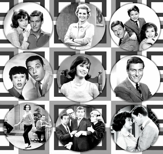 Custom Handmade Dick Van Dyke Show Complete Series Magnet Set For Sale In AREA51GALLEY New Orleans  