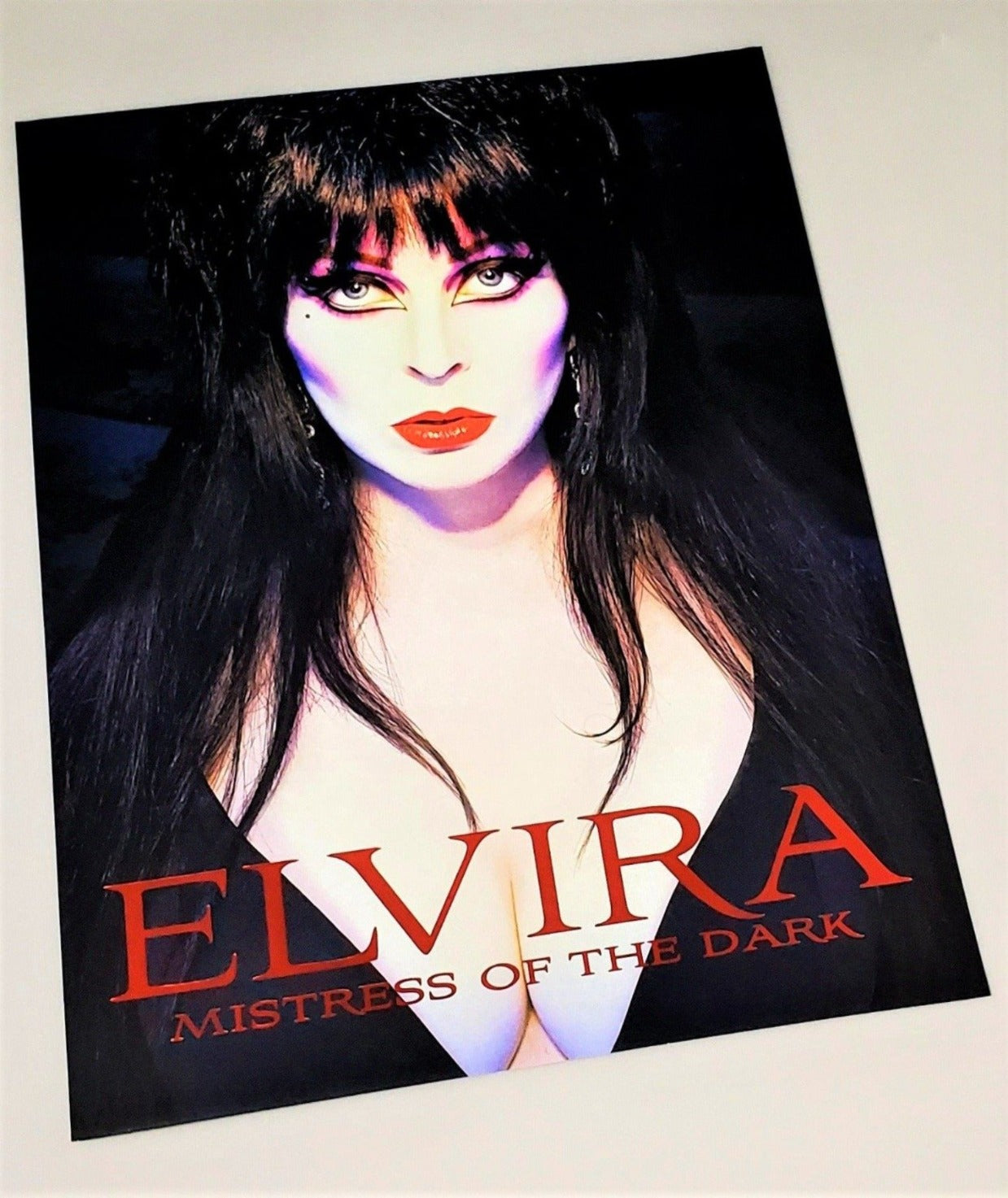 Elvira Mistress Of The Dark Book Cover Photo Art Print