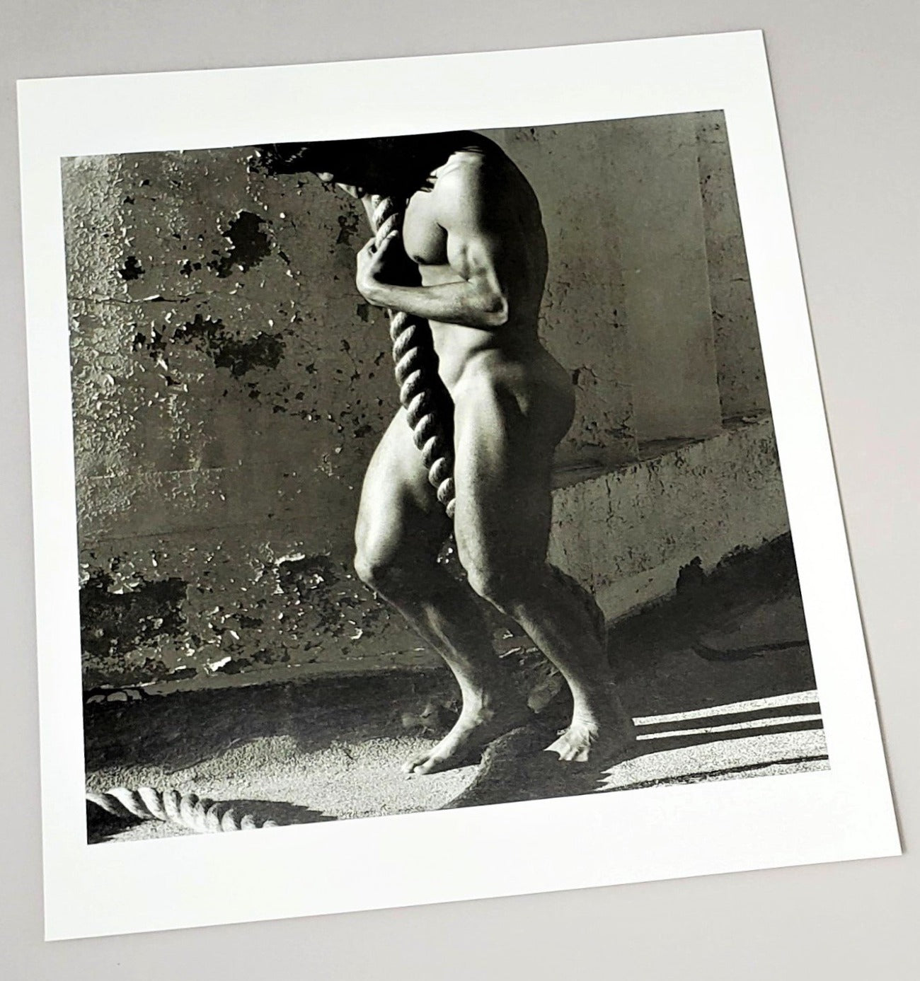 Herb Ritts 1998 Photography Male Nude With Rope Men/Women Book