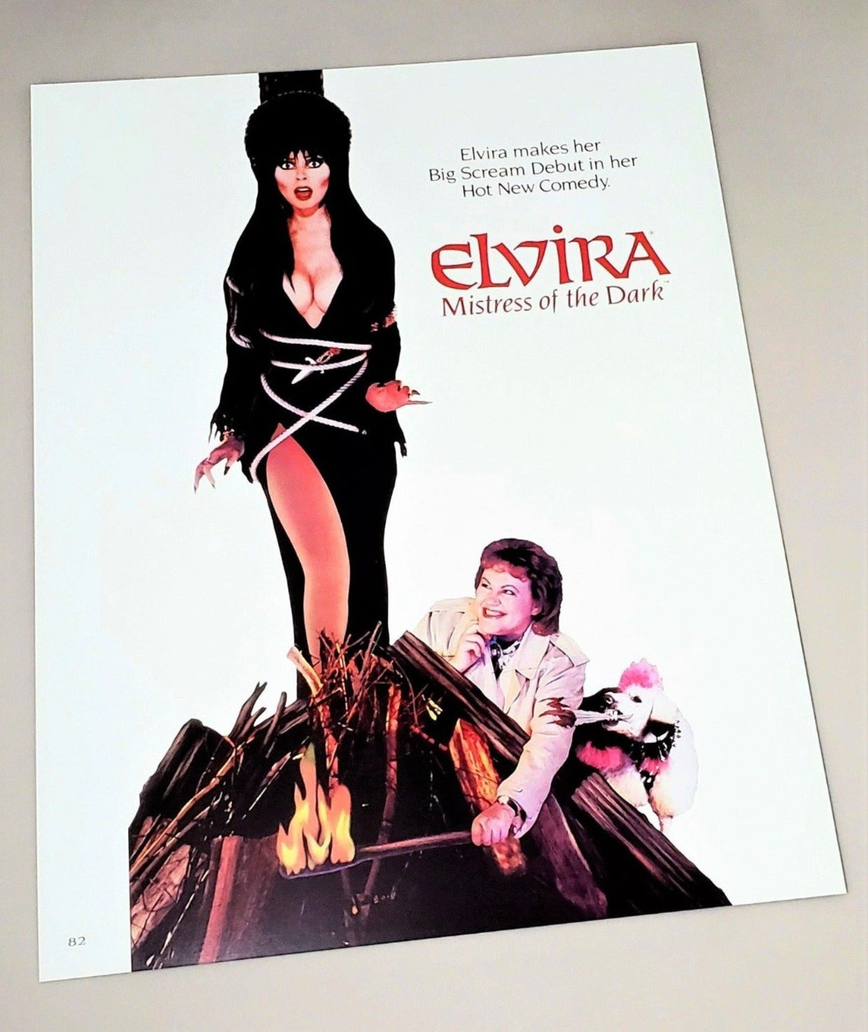 Elvira Mistress Of The Dark 1988 Movie Poster Artwork Print