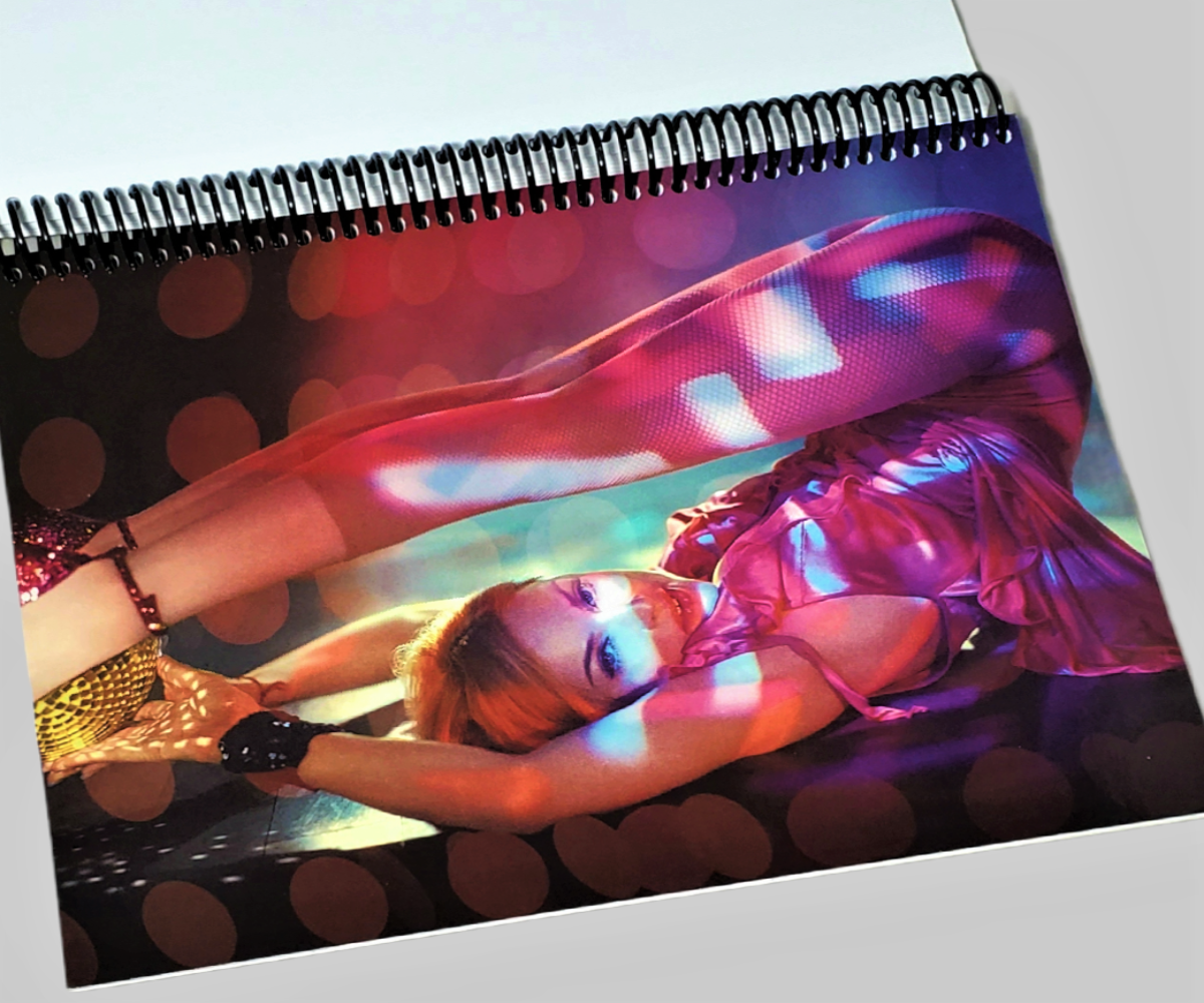 Authentic Madonna: Confessions on a Dance Floor album cover reintroduced as a functional spiral notebook by area51gallery