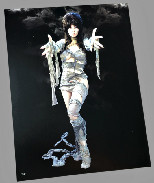 Elvira Mistress Of The Dark Mummy Poster Cassandra Peterson Available In AREA51GALLERY 