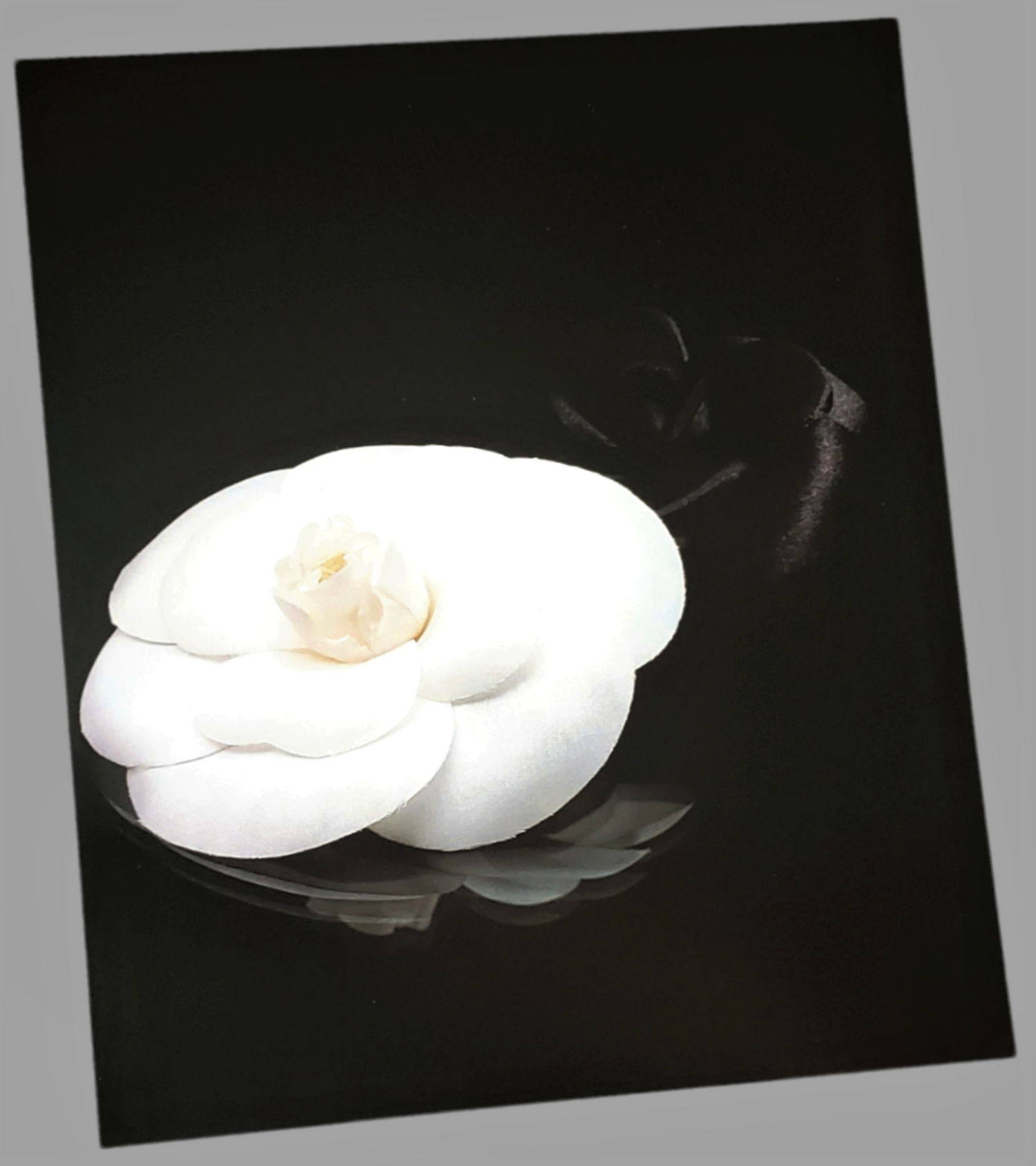 Chanel White Camellia Art Poster