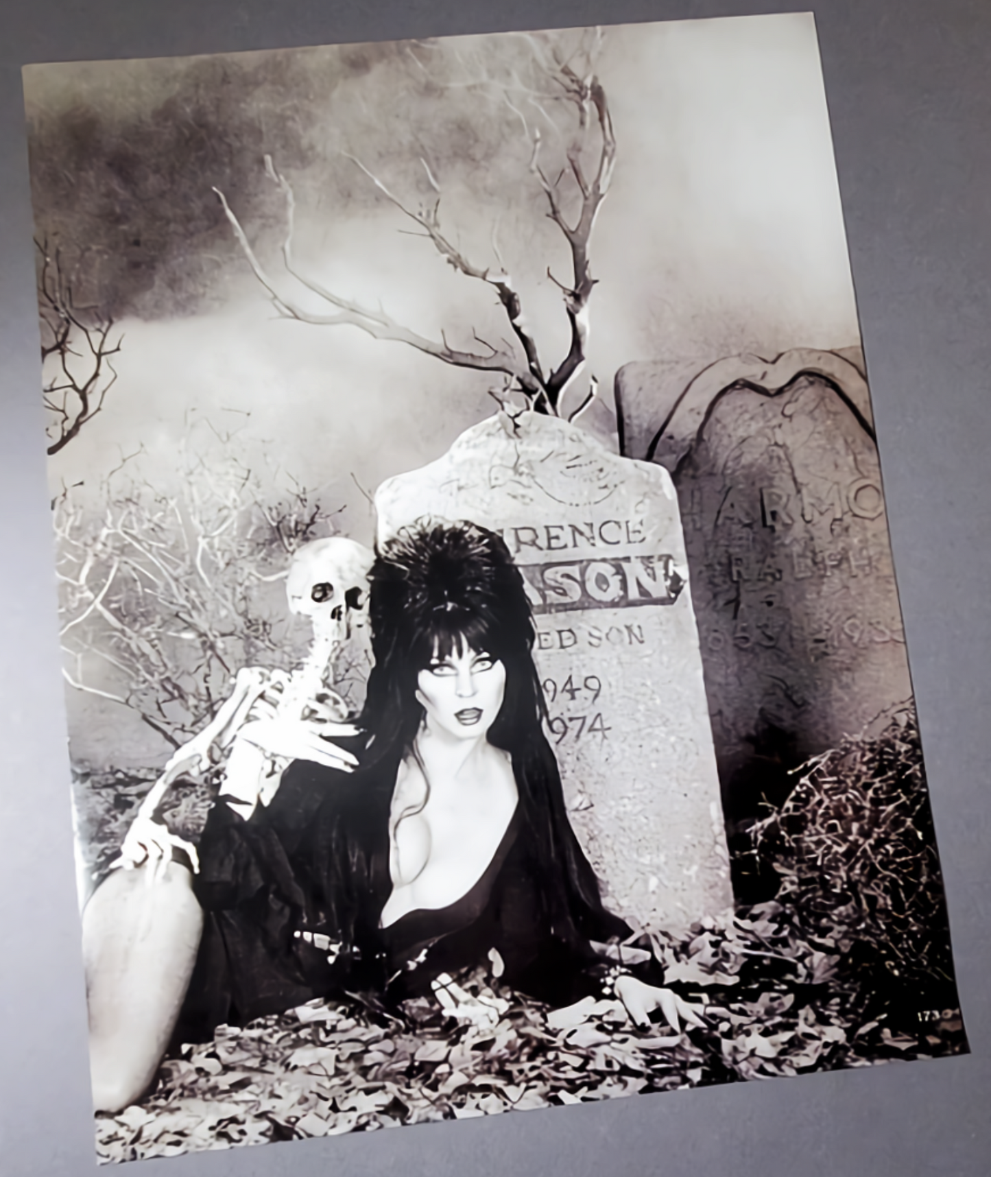 Elvira Graveyard Art Poster Available In AREA51GALLERY New Orleans