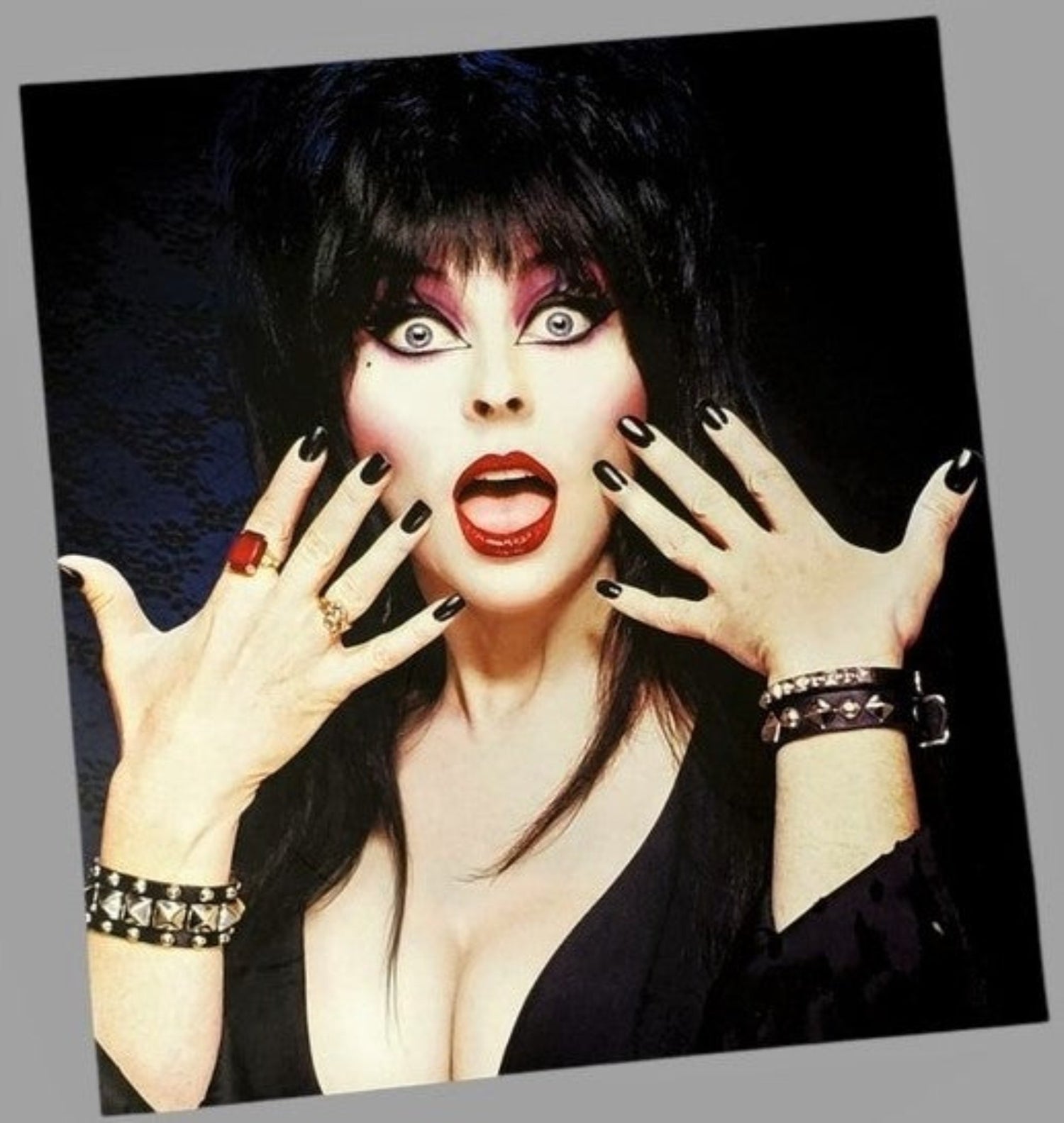 Elvira Book Cover Collectible Available In AREA51GALLERY New Orleans 
