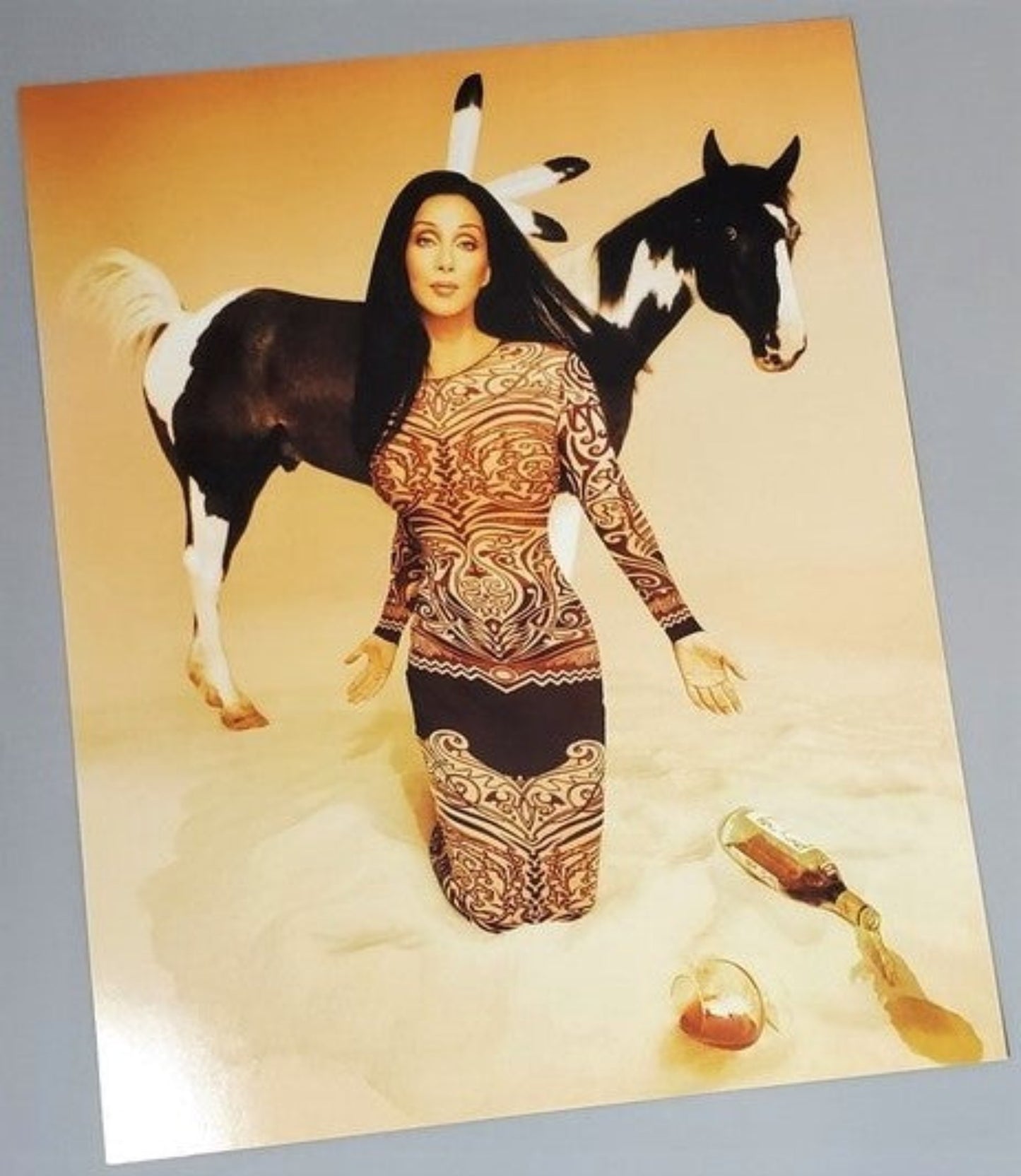 Cher David LaChapelle Poster For Sale In AREA51GALLERY New Orleans