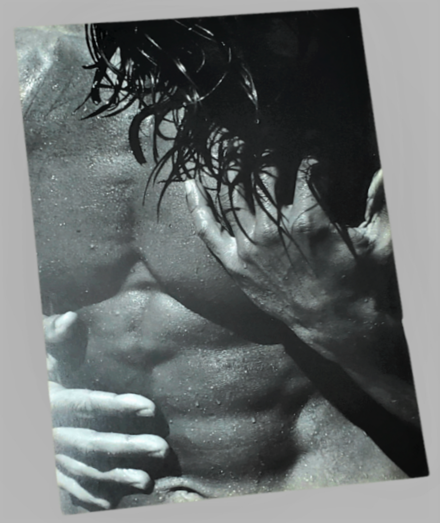 Herb Ritts Male Model Nude Torso Print Available In AREA51GALLERY New Orleans