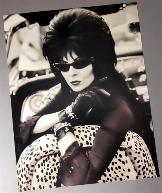 Elvira Mistress Of The Dark Ghoul Sunglasses Art Print Available In AREA51GALLERY New Orleans